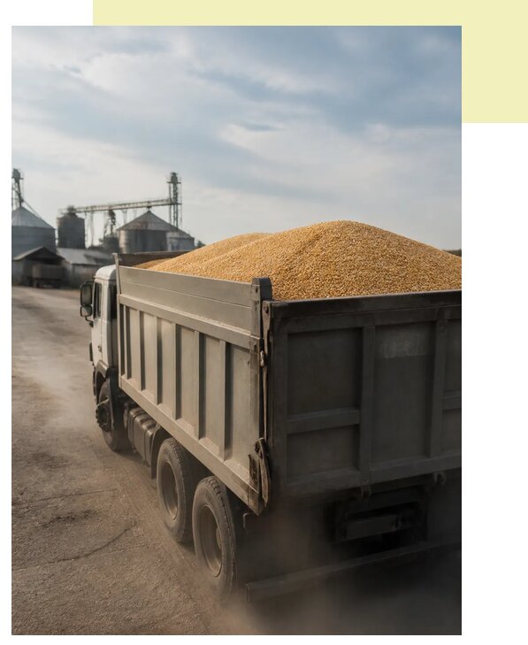 Перевозка сельхозпродукции навалом в Фрязино по цене от 3116 р. | Агросервис-Фрз