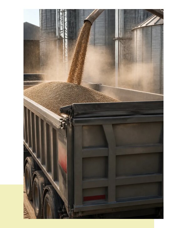 Перевозка зерносмеси в Фрязино с гарантией сохранности груза